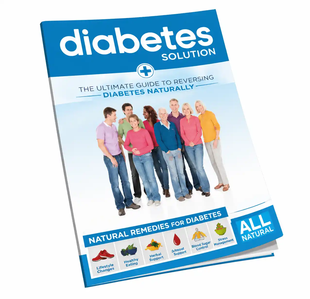 Printed Diabetes Solution Kit option
